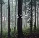 Run (2004)
